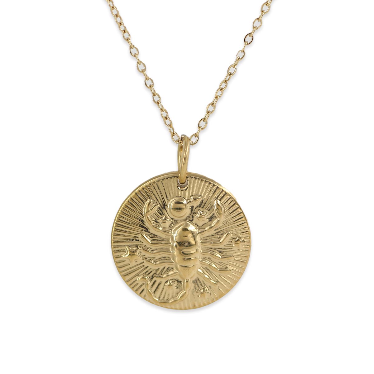 Collar Horóscopo con los símbolos del zodiaco | Collares de moda - ALVENT