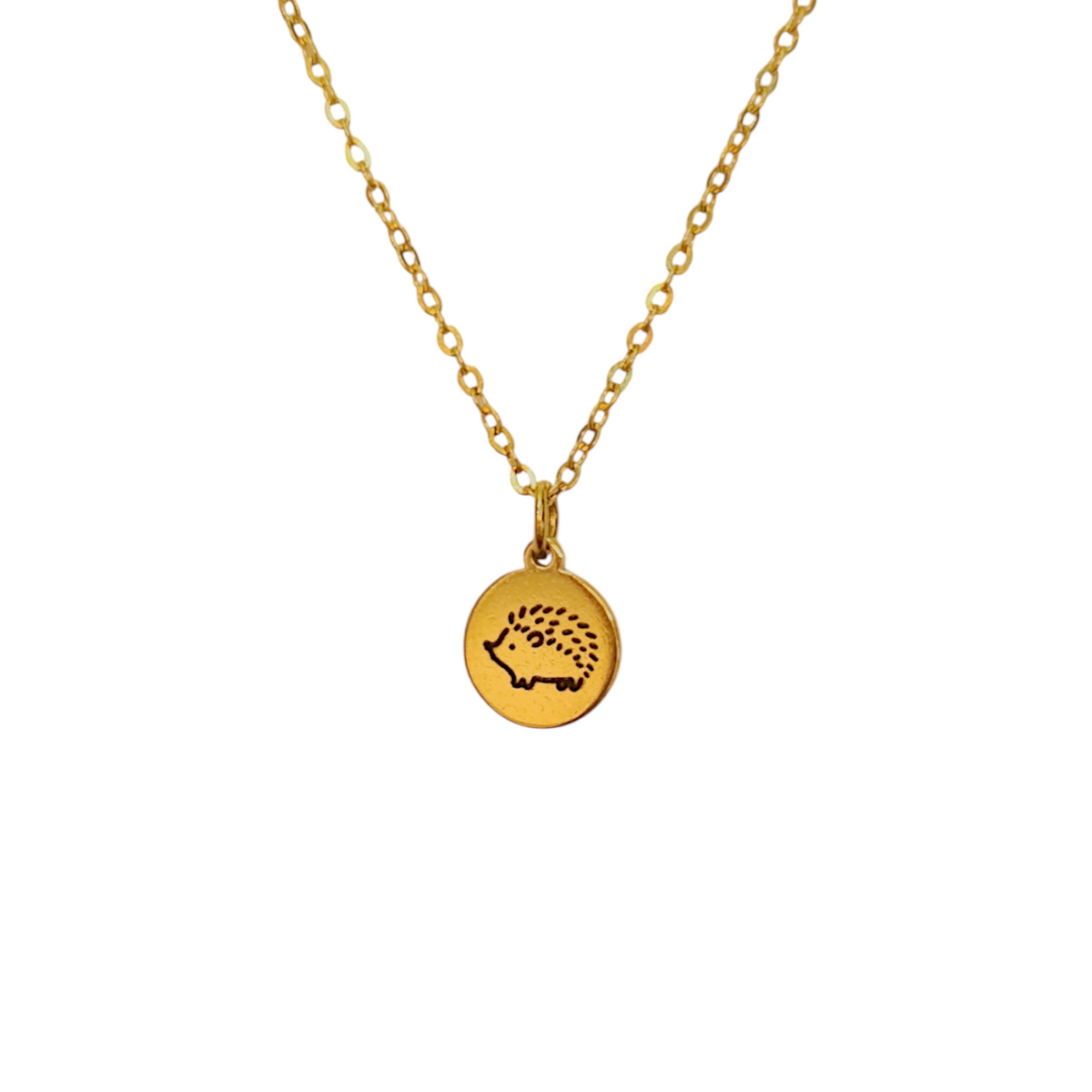 Collar Erizo | ALVENT